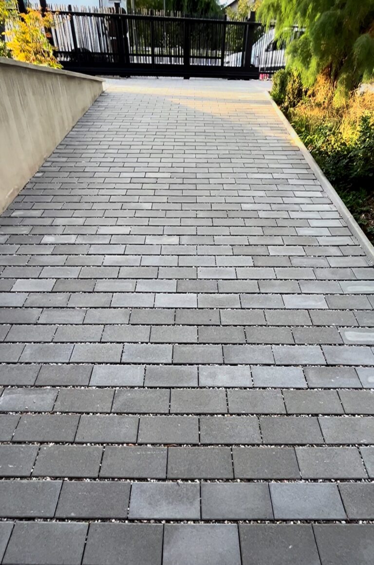 pavage demeter paysage